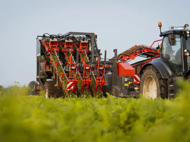 Dewulf wortelmachine