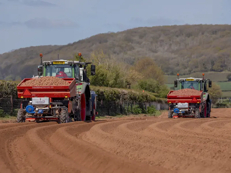 Aardappelplanter Dewulf